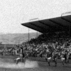 old photo of rodeo event